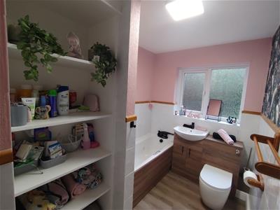 Picture 17